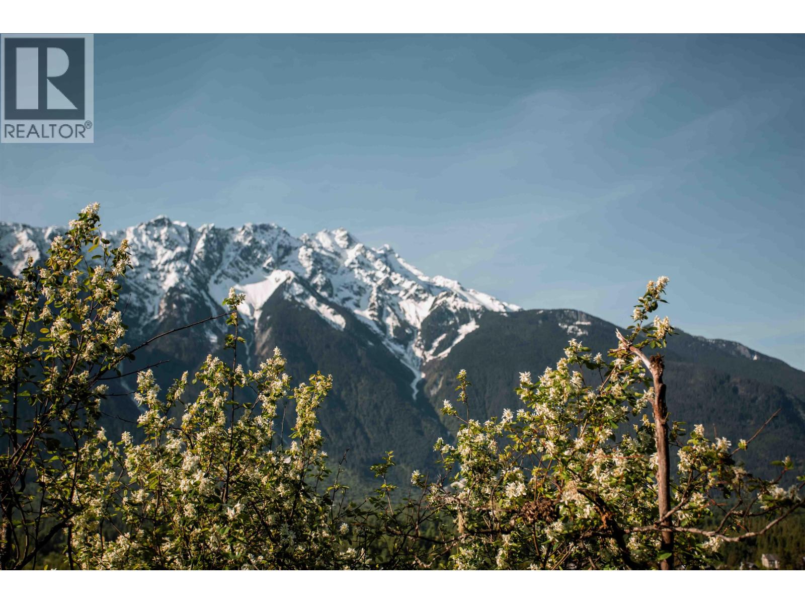 9002 Sun God Mountain Way, Pemberton, British Columbia  V0N 2L3 - Photo 7 - R3039713