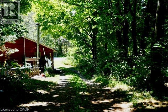 1116 Moon River Road, Bala, Ontario  P0C 1A0 - Photo 13 - 40762019