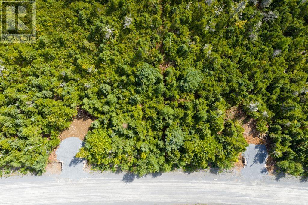 Lot 6 Birchwood Lane, Ostrea Lake, Nova Scotia  B0J 2L0 - Photo 5 - 202521432