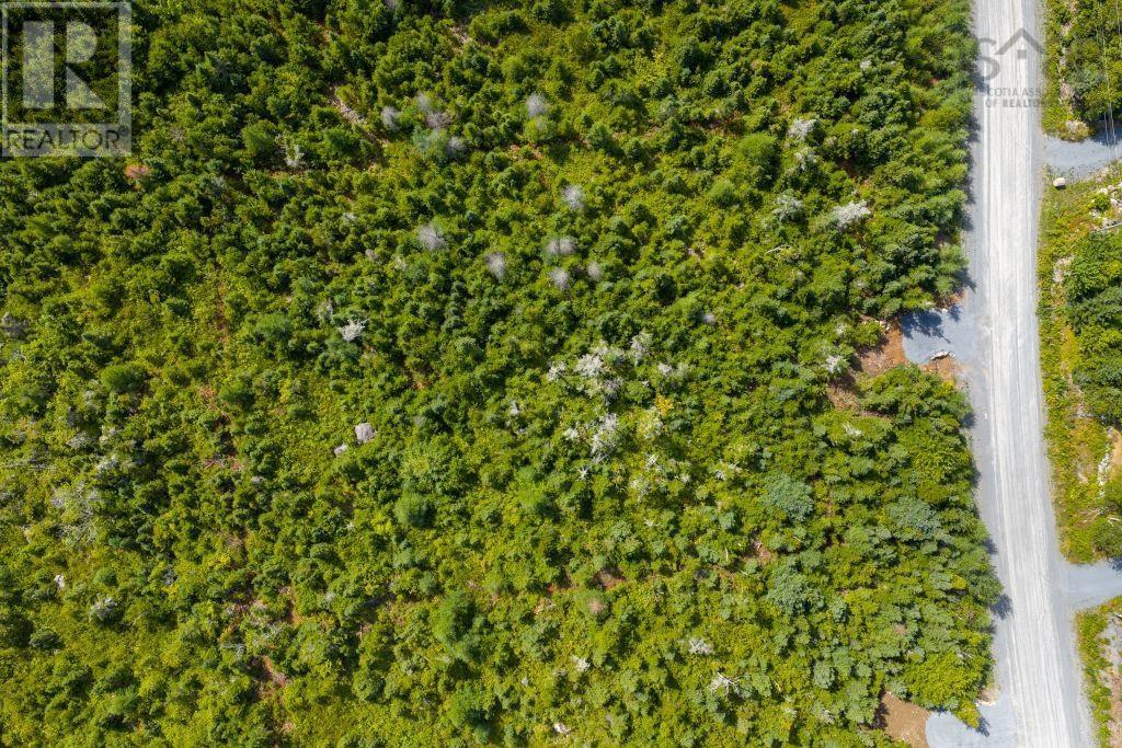 Lot 6 Birchwood Lane, Ostrea Lake, Nova Scotia  B0J 2L0 - Photo 6 - 202521432