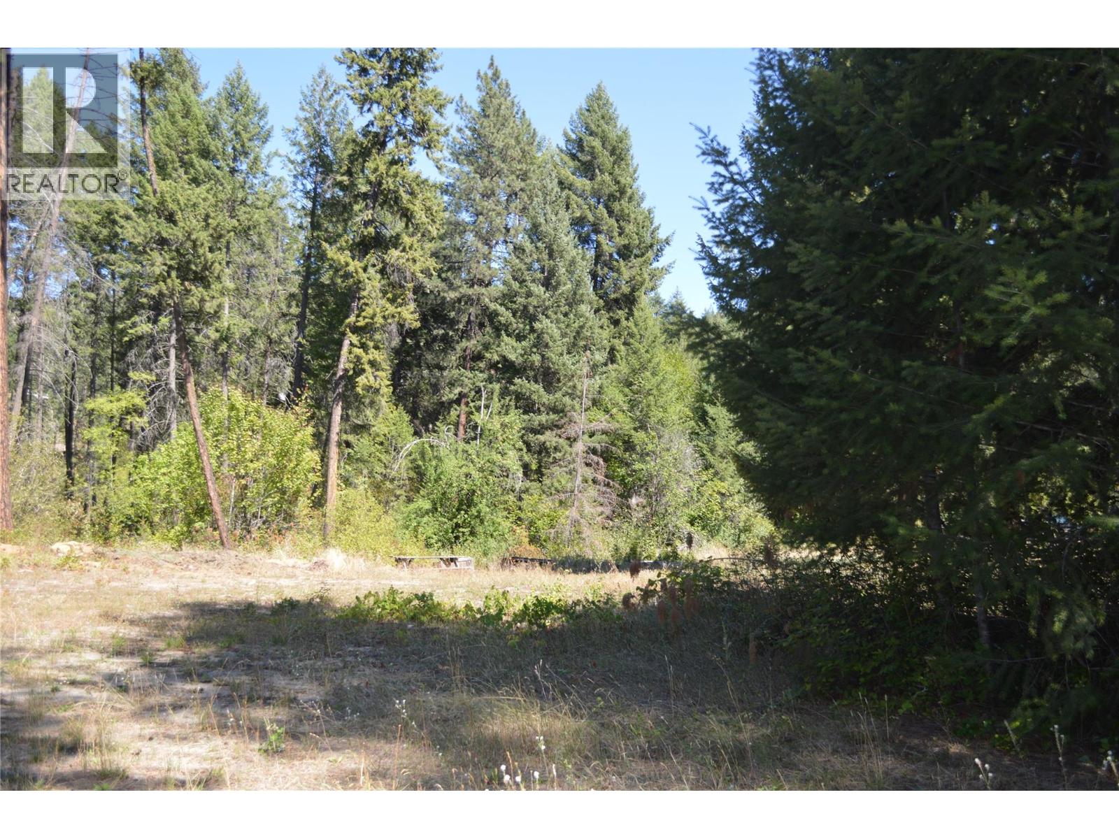 2021 Fife Road, Christina Lake, British Columbia  V0H 1E3 - Photo 36 - 10360289