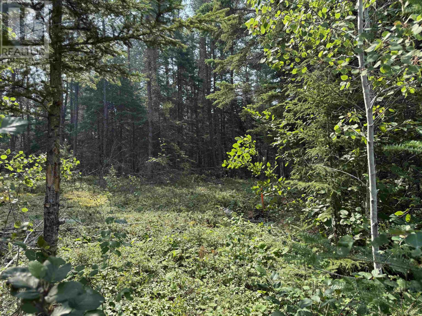 Lot 2 Kinger Road, Kenora, Ontario  P9N 0E4 - Photo 6 - TB252326