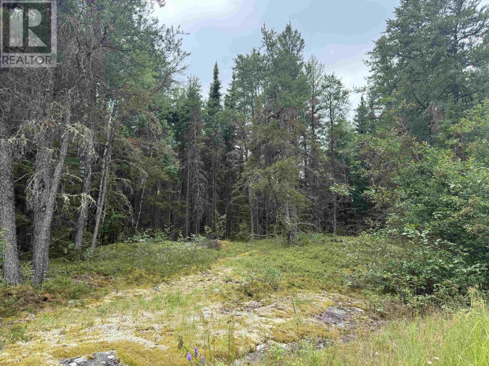 Lot 2 Kinger Road, Kenora, Ontario  P9N 0E4 - Photo 25 - TB252326