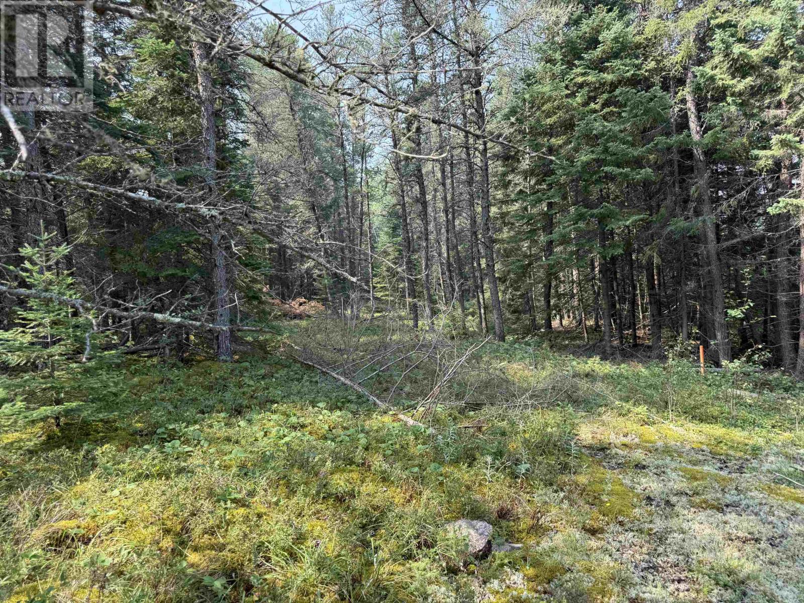 Lot 2 Kinger Road, Kenora, Ontario  P9N 0E4 - Photo 4 - TB252326