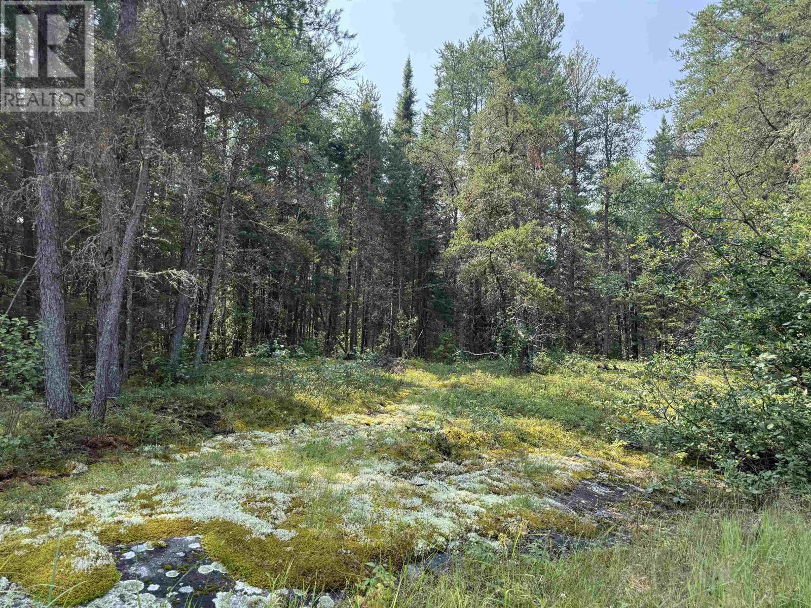 Lot 2 Kinger Road, Kenora, Ontario  P9N 0E4 - Photo 3 - TB252326