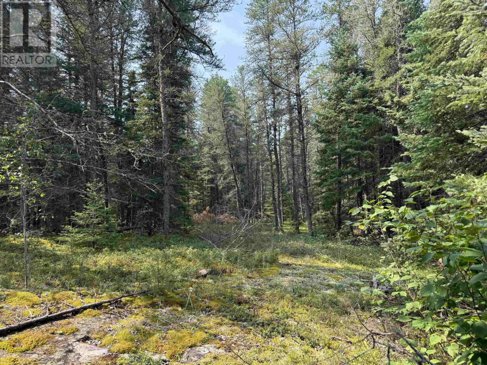 Lot 2 Kinger Road, Kenora, Ontario  P9N 0E4 - Photo 5 - TB252326