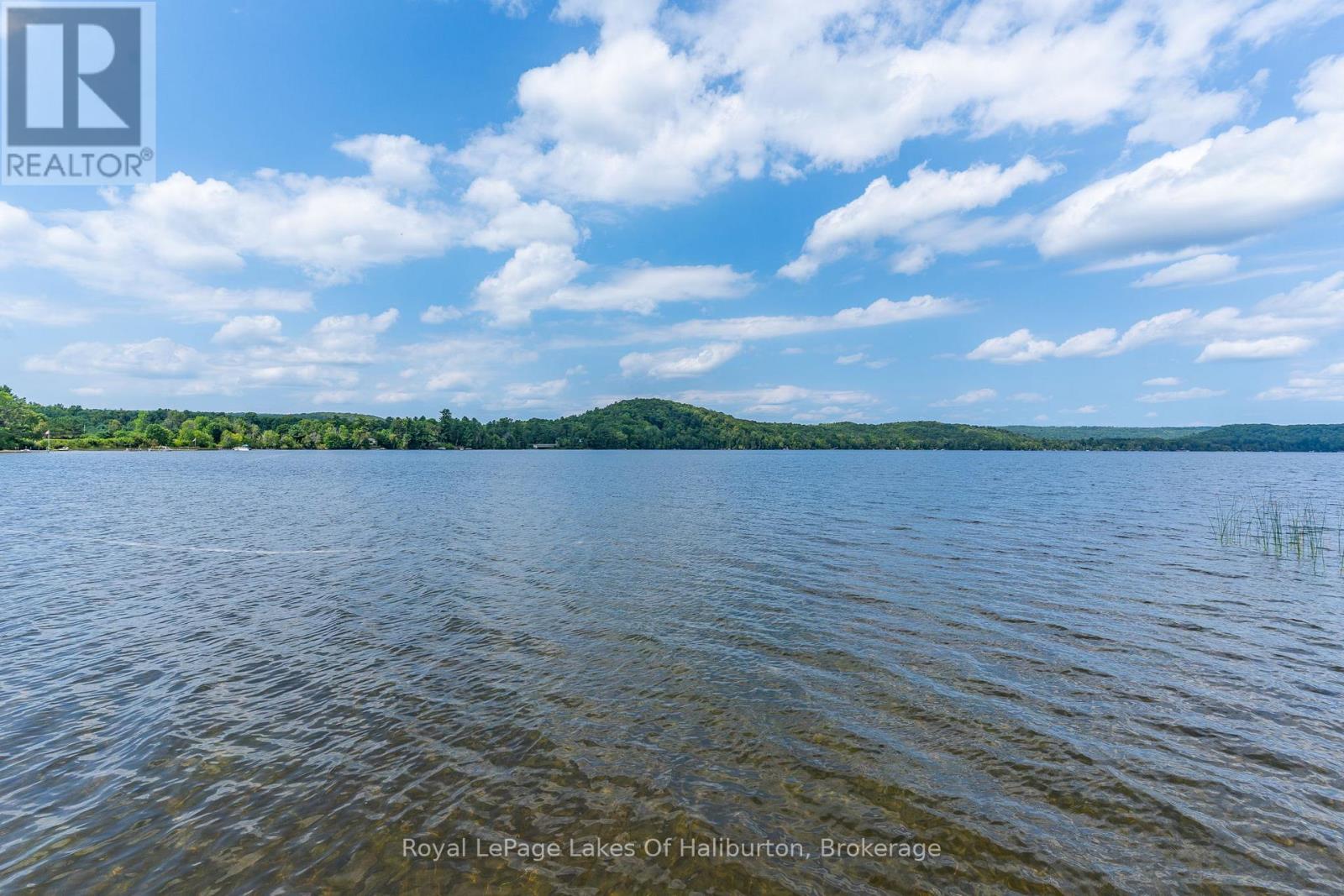 1049 Ninatigo Lane, Algonquin Highlands (Stanhope), Ontario  K0M 1S0 - Photo 5 - X12357974