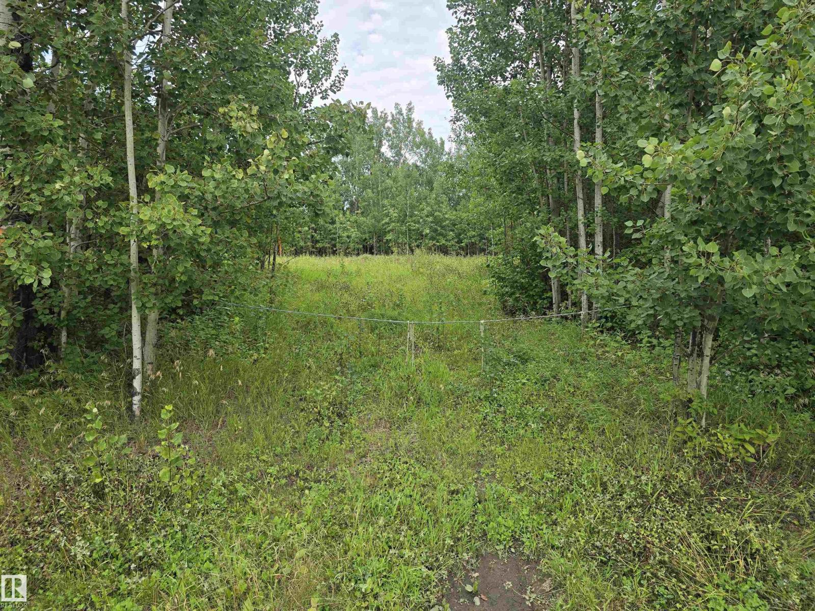 19-55022 Lac Ste. Anne Trail, Rural Lac Ste. Anne County, Alberta  T0E 1A0 - Photo 2 - E4454364