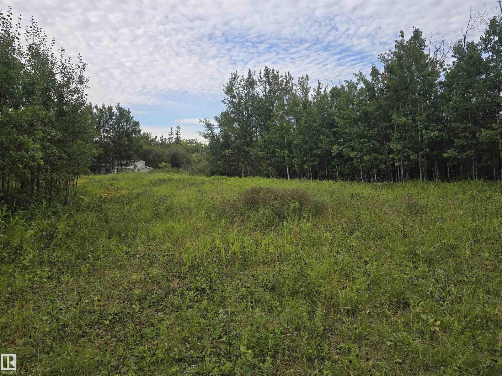 19-55022 Lac Ste. Anne Trail, Rural Lac Ste. Anne County, Alberta  T0E 1A0 - Photo 4 - E4454364