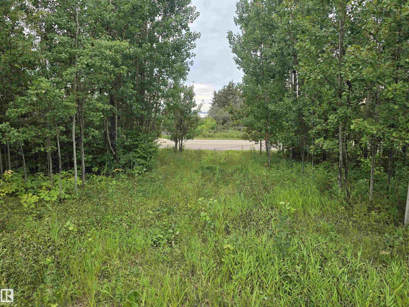 19-55022 Lac Ste. Anne Trail, Rural Lac Ste. Anne County, Alberta  T0E 1A0 - Photo 5 - E4454364