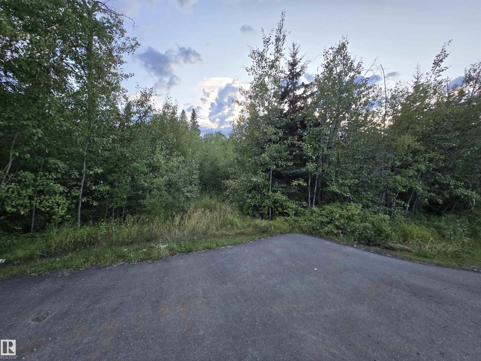 3461 Calling Lake Dr, Rural Opportunity M.d., Alberta  T0G 0K0 - Photo 2 - E4454365