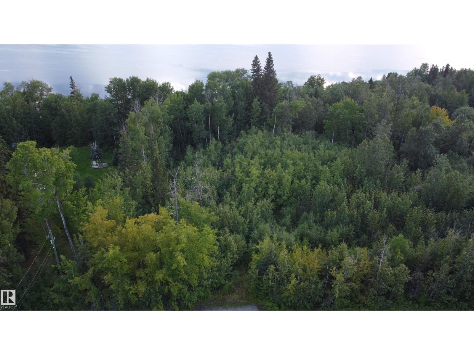 3461 Calling Lake Dr, Rural Opportunity M.d., Alberta  T0G 0K0 - Photo 6 - E4454365