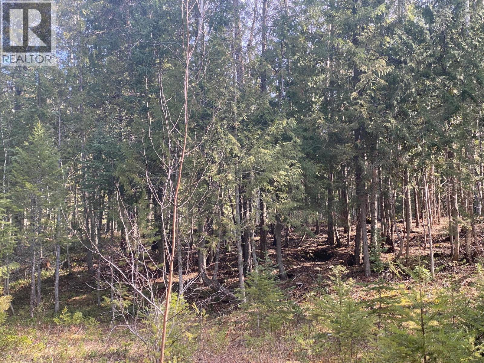 134 Wadlegger Road, Clearwater, British Columbia  V0E 1N0 - Photo 21 - 10339797