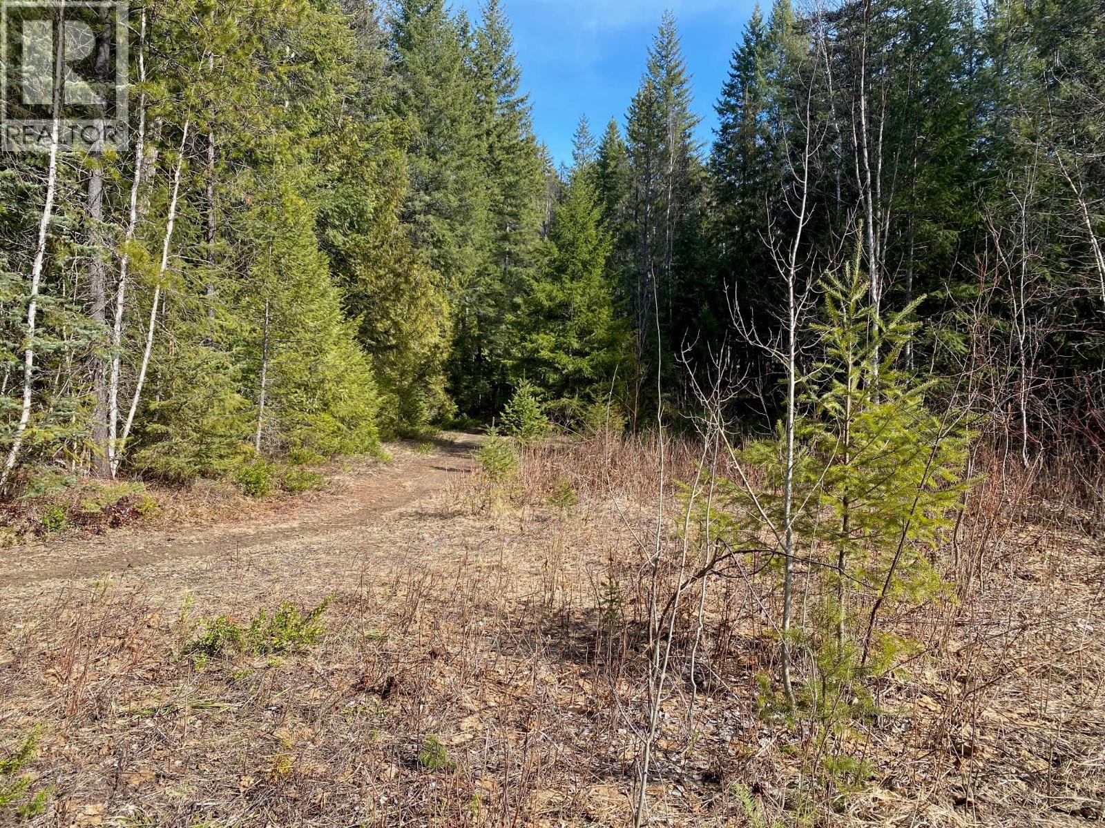 134 Wadlegger Road, Clearwater, British Columbia  V0E 1N0 - Photo 19 - 10339797