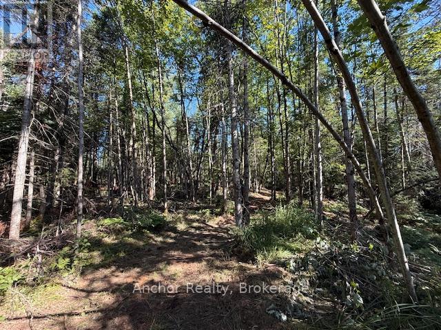 1601 Uffington Road, Bracebridge (Draper), Ontario  P1L 1X1 - Photo 16 - X12349385