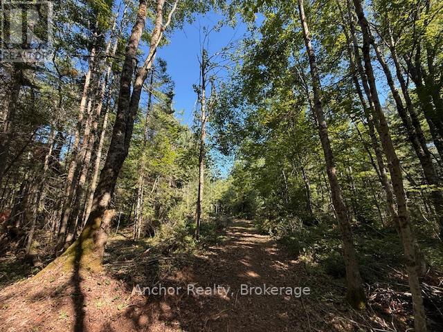 1601 Uffington Road, Bracebridge (Draper), Ontario  P1L 1X1 - Photo 17 - X12349385