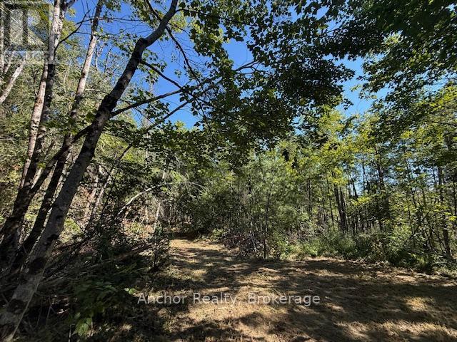 1601 Uffington Road, Bracebridge (Draper), Ontario  P1L 1X1 - Photo 15 - X12349385