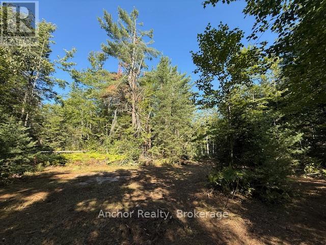1601 Uffington Road, Bracebridge (Draper), Ontario  P1L 1X1 - Photo 19 - X12349385