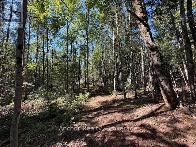 1601 Uffington Road, Bracebridge (Draper), Ontario  P1L 1X1 - Photo 18 - X12349385