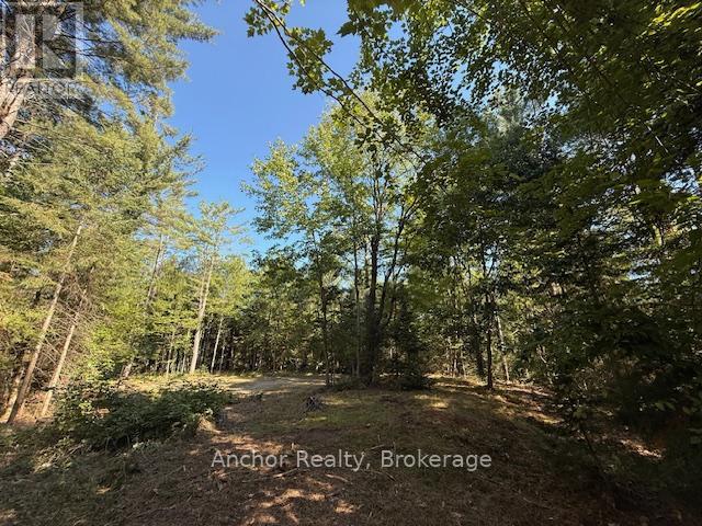 1601 Uffington Road, Bracebridge (Draper), Ontario  P1L 1X1 - Photo 20 - X12349385