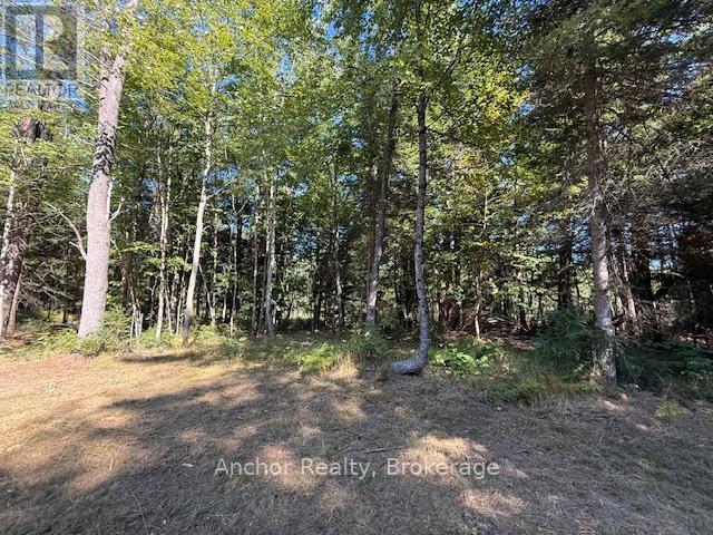1601 Uffington Road, Bracebridge, Ontario  P1L 1X1 - Photo 23 - X12349385
