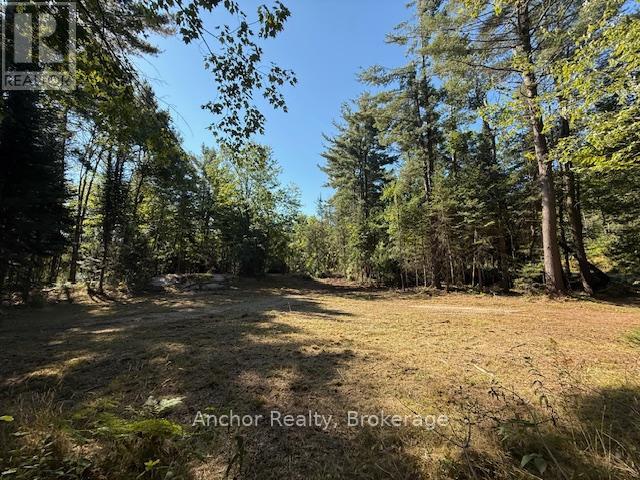 1601 Uffington Road, Bracebridge (Draper), Ontario  P1L 1X1 - Photo 22 - X12349385