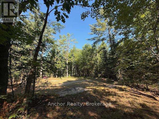 1601 Uffington Road, Bracebridge (Draper), Ontario  P1L 1X1 - Photo 21 - X12349385