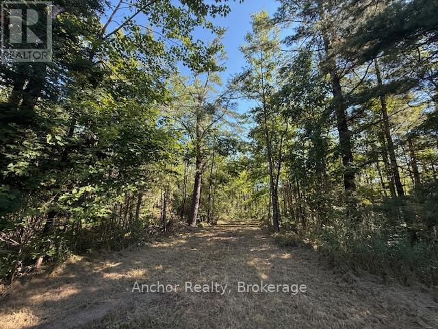 1601 Uffington Road, Bracebridge (Draper), Ontario  P1L 1X1 - Photo 14 - X12349385