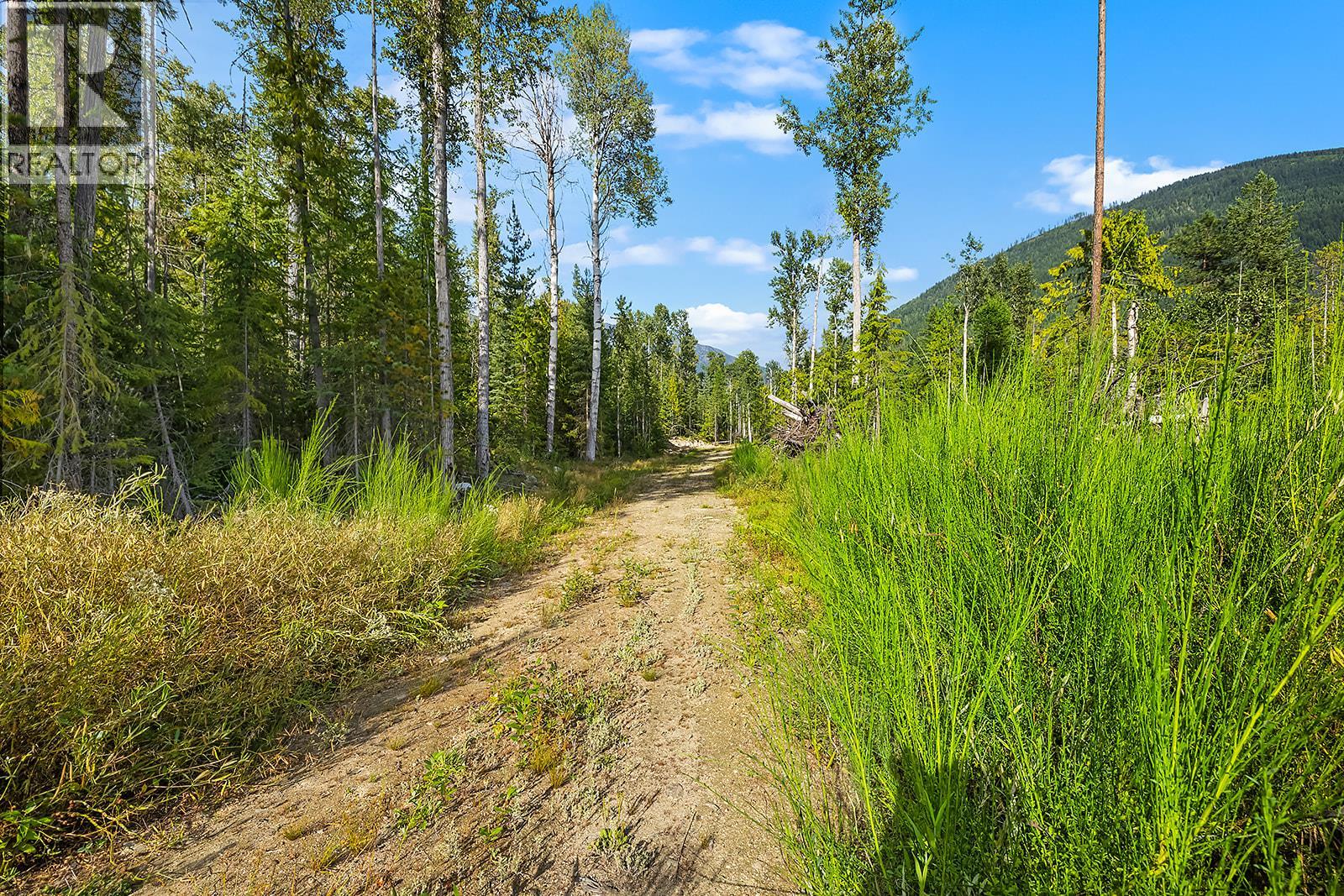 Lot A Wadds Road, Crawford Bay, British Columbia  V0B 1E0 - Photo 11 - 10360049