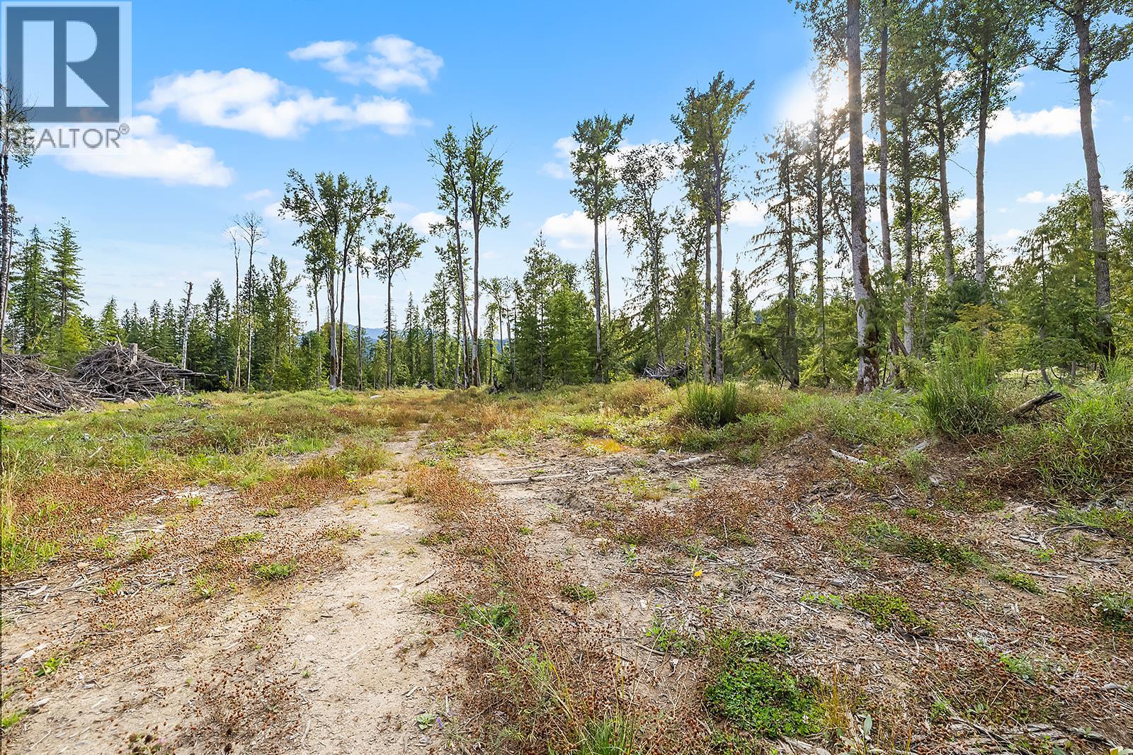 Lot A Wadds Road, Crawford Bay, British Columbia  V0B 1E0 - Photo 16 - 10360049