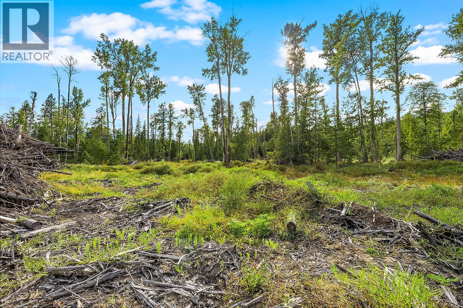 Lot A Wadds Road, Crawford Bay, British Columbia  V0B 1E0 - Photo 12 - 10360049