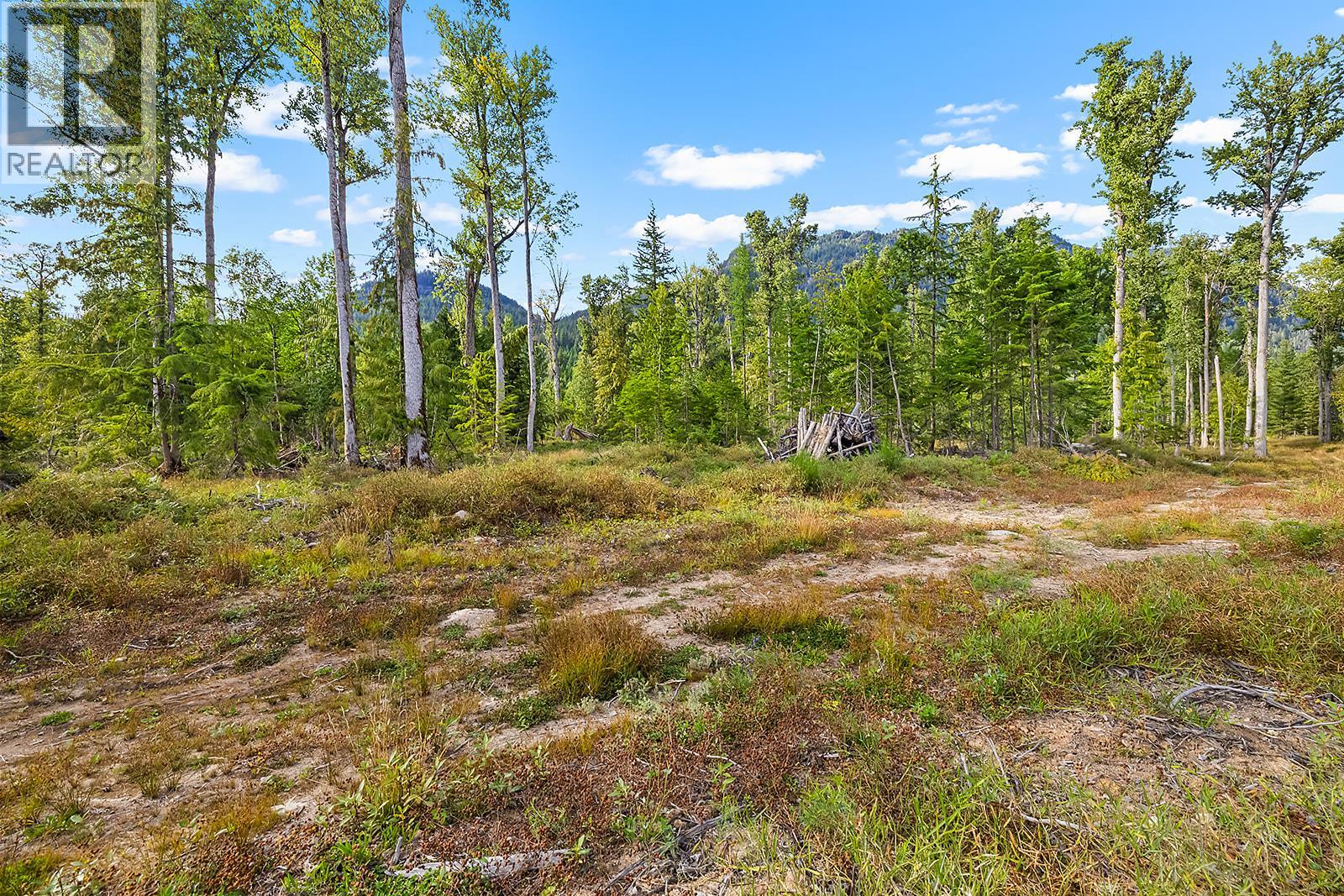 Lot A Wadds Road, Crawford Bay, British Columbia  V0B 1E0 - Photo 14 - 10360049