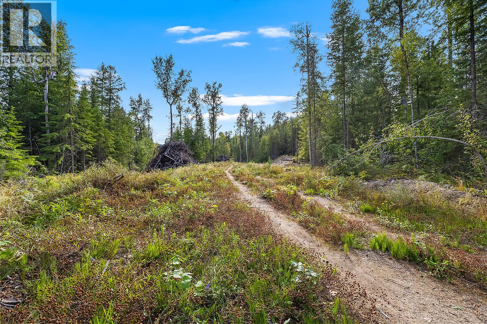 Lot A Wadds Road, Crawford Bay, British Columbia  V0B 1E0 - Photo 17 - 10360049