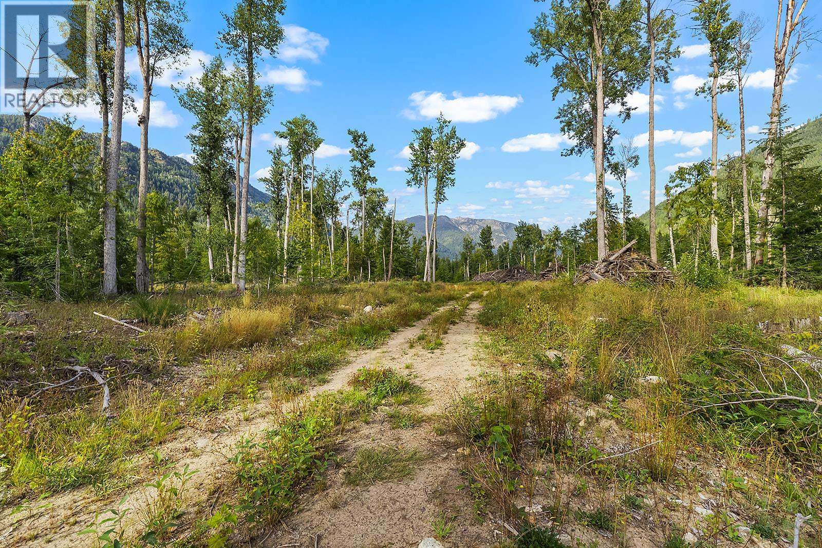 Lot A Wadds Road, Crawford Bay, British Columbia  V0B 1E0 - Photo 7 - 10360049