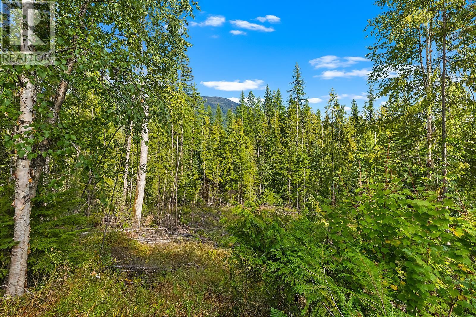 Lot A Wadds Road, Crawford Bay, British Columbia  V0B 1E0 - Photo 8 - 10360049