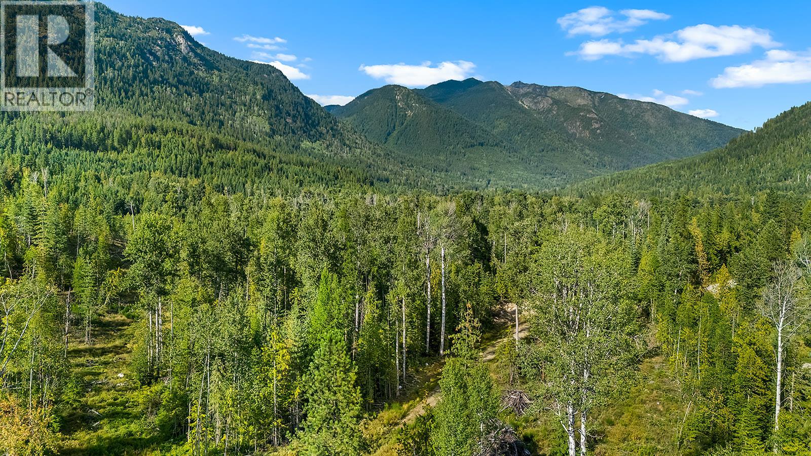 Lot A Wadds Road, Crawford Bay, British Columbia  V0B 1E0 - Photo 36 - 10360049
