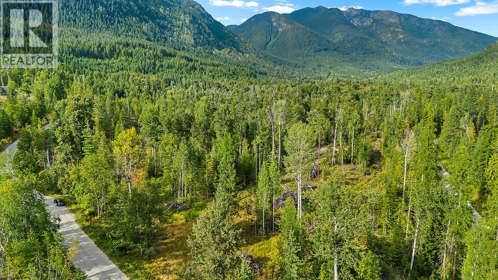 Lot A Wadds Road, Crawford Bay, British Columbia  V0B 1E0 - Photo 38 - 10360049