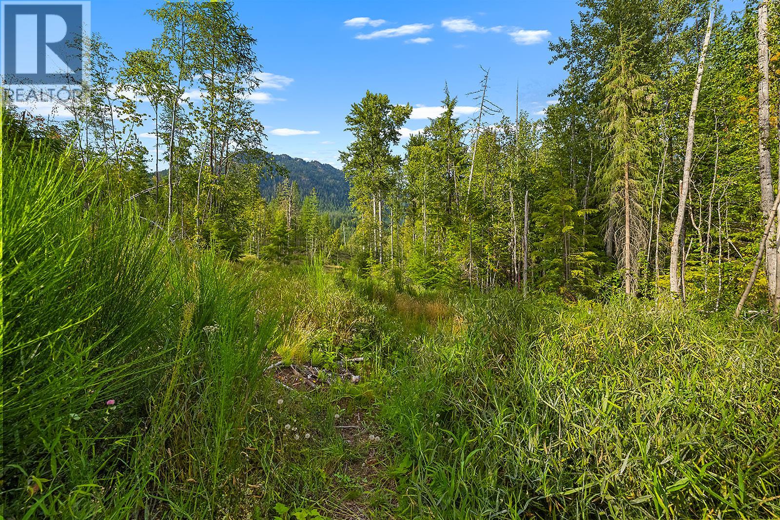 Lot A Wadds Road, Crawford Bay, British Columbia  V0B 1E0 - Photo 20 - 10360049