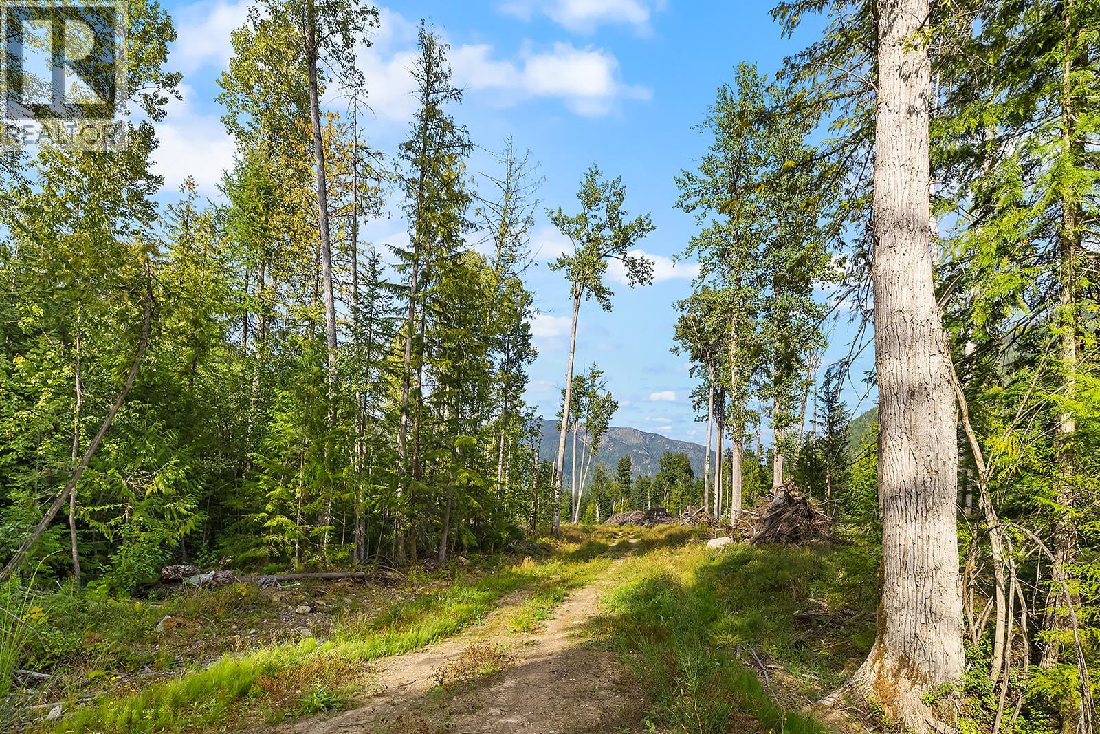 Lot A Wadds Road, Crawford Bay, British Columbia  V0B 1E0 - Photo 9 - 10360049
