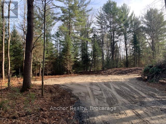 1601 Uffington Road, Bracebridge (Draper), Ontario  P1L 1X1 - Photo 2 - X12349385