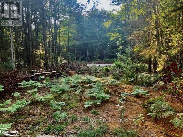 1601 Uffington Road, Bracebridge (Draper), Ontario  P1L 1X1 - Photo 4 - X12349385