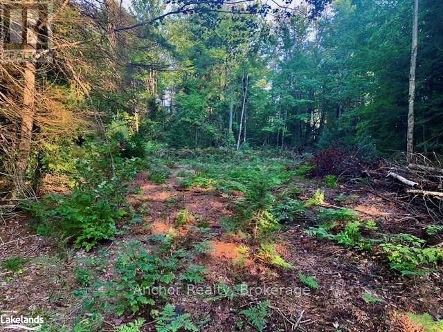1601 Uffington Road, Bracebridge (Draper), Ontario  P1L 1X1 - Photo 3 - X12349385