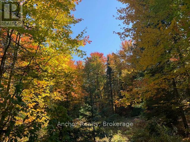 1601 Uffington Road, Bracebridge (Draper), Ontario  P1L 1X1 - Photo 8 - X12349385