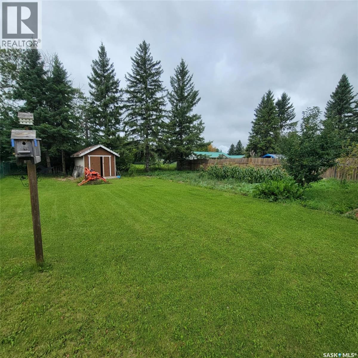 231 Third Street Ne, Preeceville, Saskatchewan  S0A 3B0 - Photo 12 - SK016460