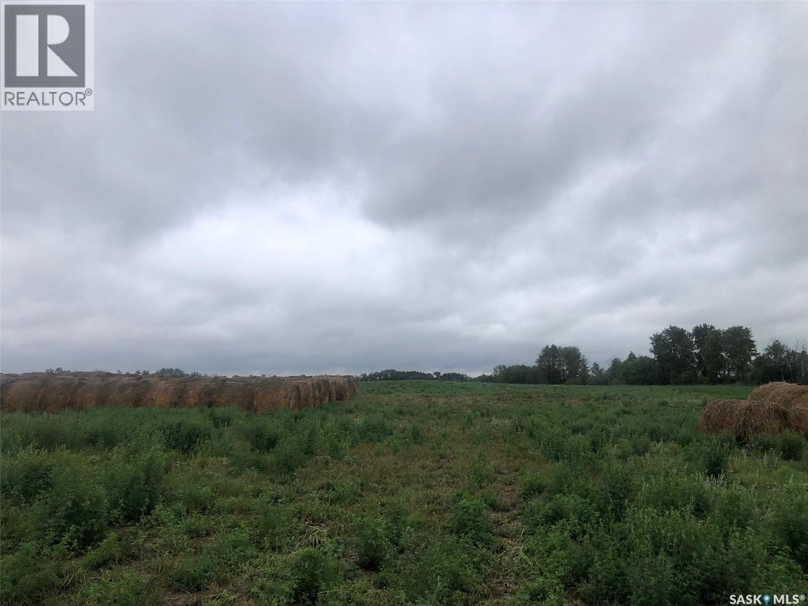 Ogden Farm, Invermay Rm No. 305, Saskatchewan  S0A 1M0 - Photo 10 - SK016421