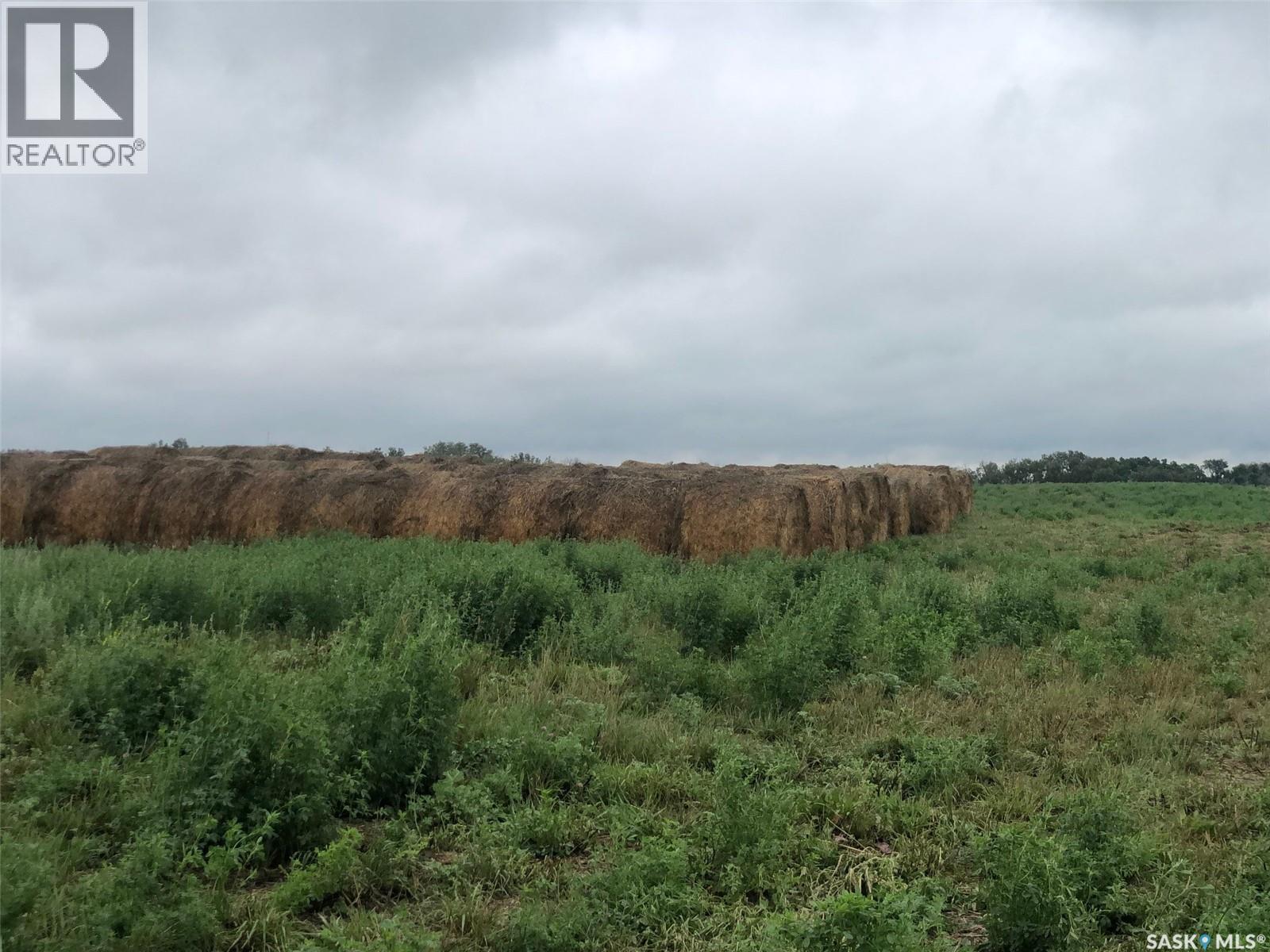 Ogden Farm, Invermay Rm No. 305, Saskatchewan  S0A 1M0 - Photo 11 - SK016421