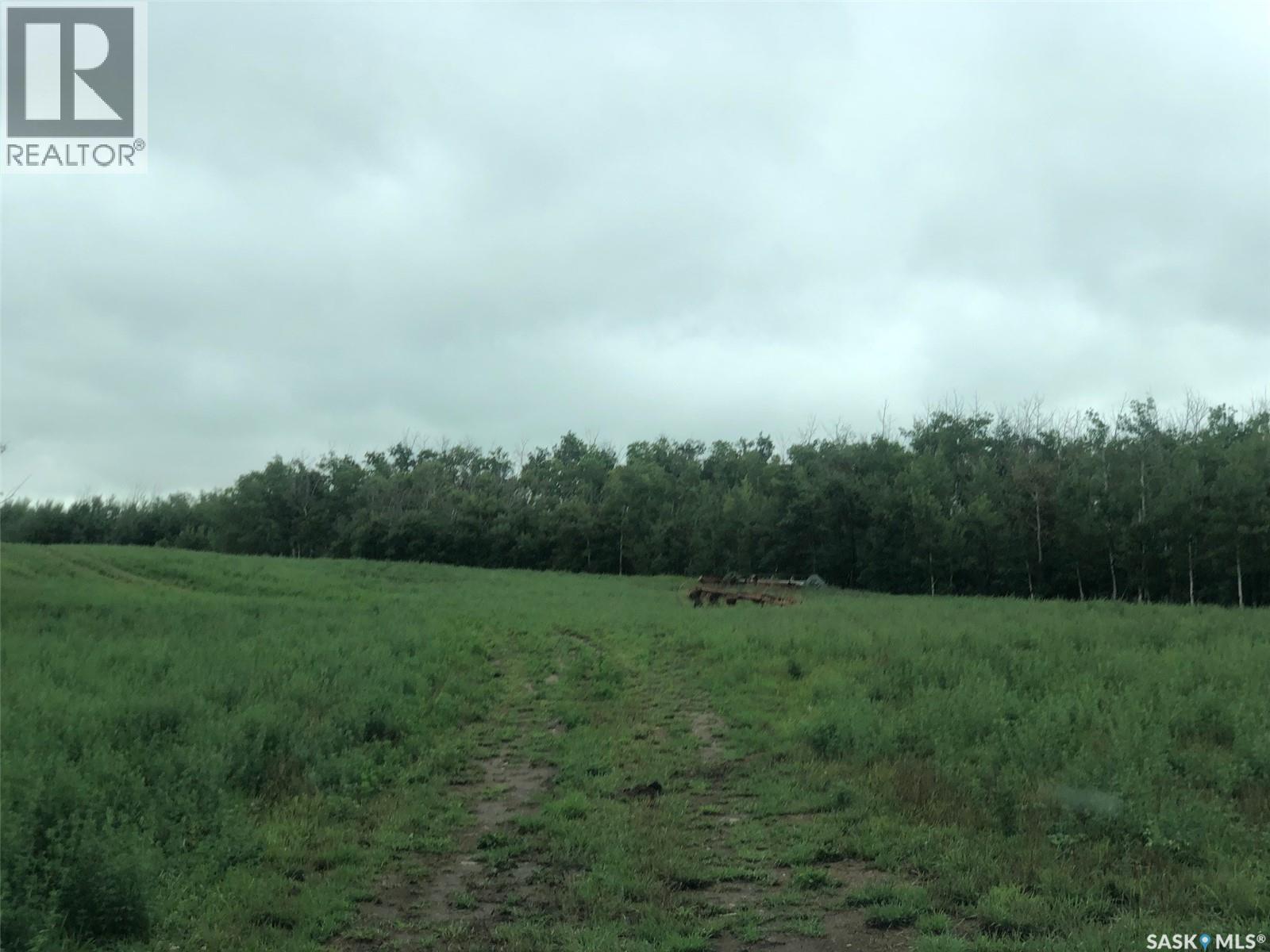 Ogden Farm, Invermay Rm No. 305, Saskatchewan  S0A 1M0 - Photo 50 - SK016421
