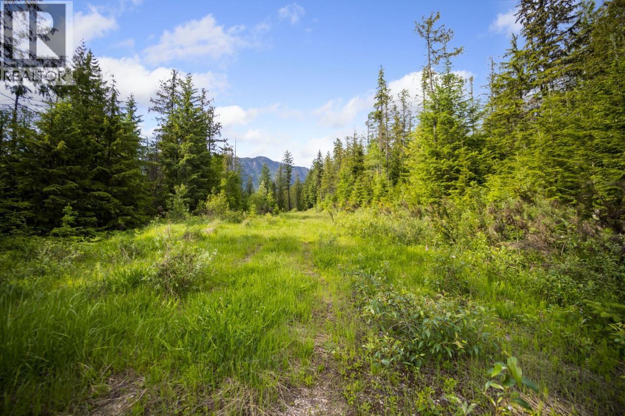 Lot 48 Crawford Creek Road, Crawford Bay, British Columbia  V0B 1E0 - Photo 3 - 10359939