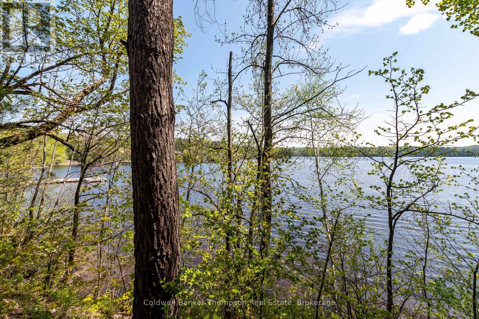 631 60 Highway, Huntsville, Ontario  P1H 1B4 - Photo 11 - X12360516