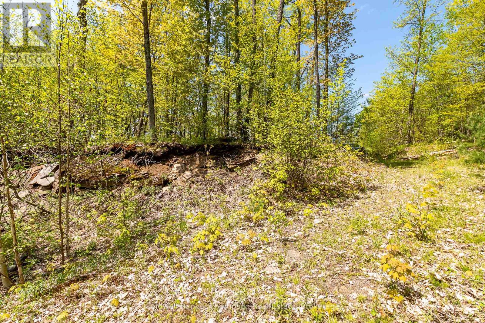 631 60 Highway, Huntsville, Ontario  P1H 1B4 - Photo 15 - X12360516